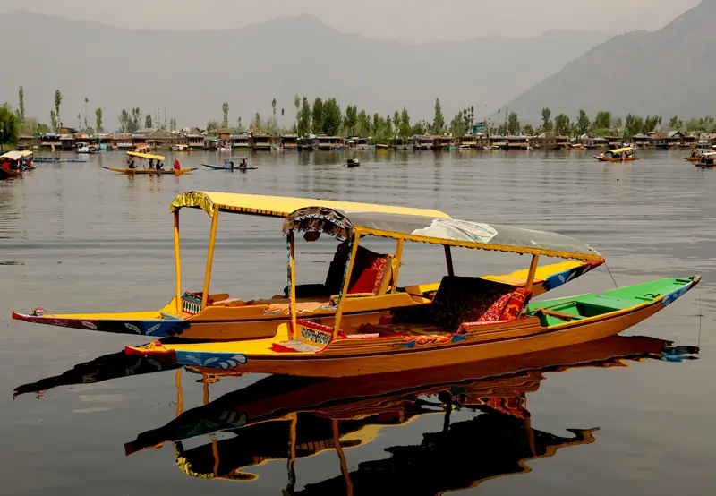 Shikara boats on Dal Lake, Srinagar, with mountains behind
