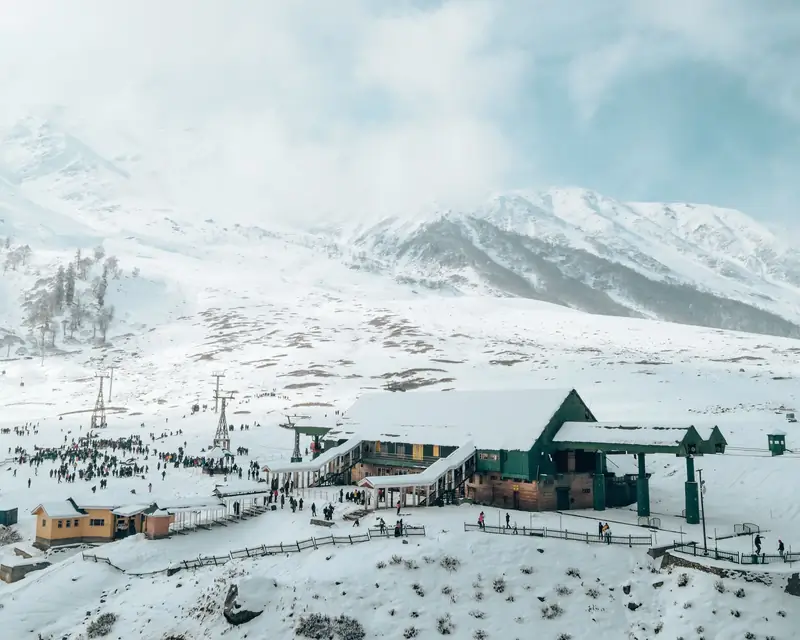 Aerial view of snow and pine forest at Gulmarg