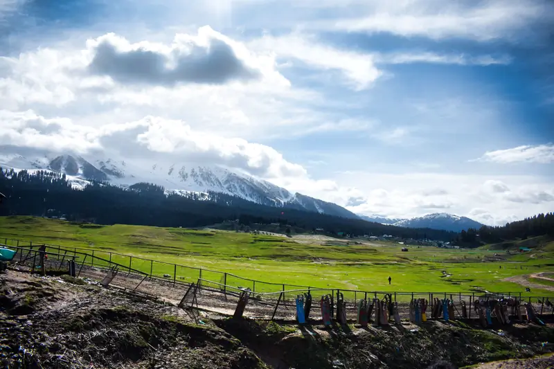 Meadows and snow-capped mountains at Pahalgam