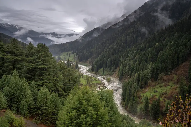 Green meadow and winding river in the Pahalgam valley