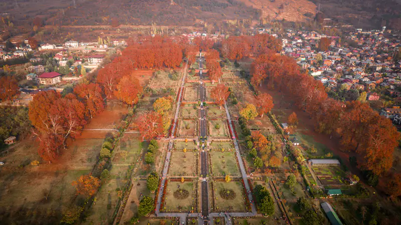 Aerial view of Srinagar's Mughal gardens in autumn
